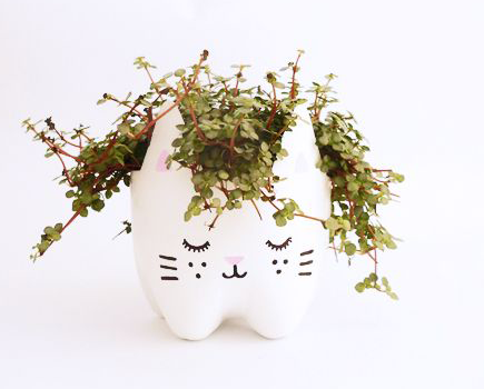 Pot pour plantes en forme de chat