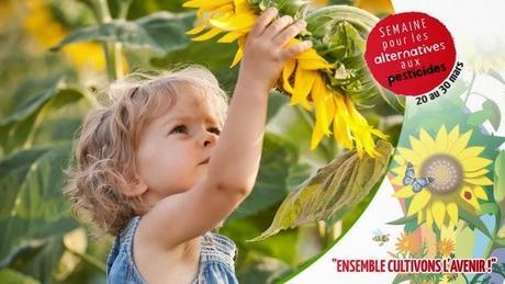 et bien dansez maintenant