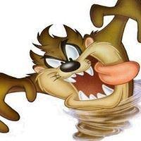 Rando moto et quad des Z'accrocs du TT à Renung (40) le 15 juin 2014