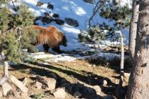 Quand Andorre met le cap sur la nature