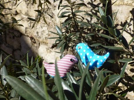 Des Love Birds pour célébrer l'arrivée du printemps