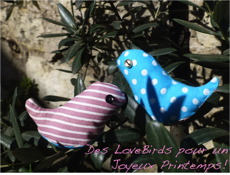Des Love Birds pour célébrer l'arrivée du printemps