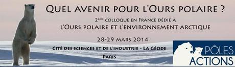 Quel avenir ours polaire