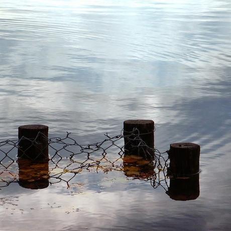 もののあはれ - Mono no Aware Project #8