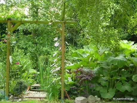 Les invasives du jardin...