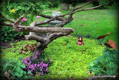 Les invasives du jardin...