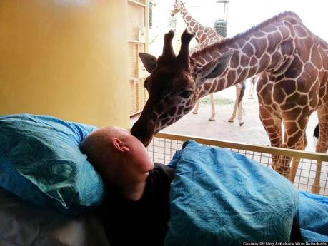 Des adieux émouvants entre un gardien atteint d'un cancer et une girafe