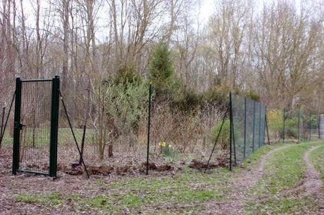 romi 21 mars 2014 002.jpg