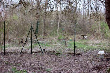 romi 21 mars 2014 003.jpg