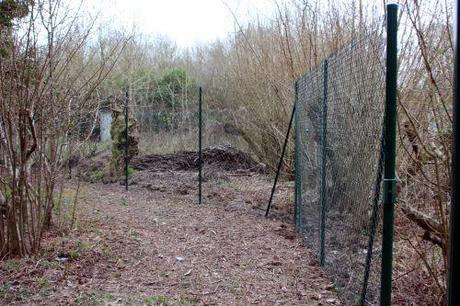 romi 21 mars 2014 004.jpg