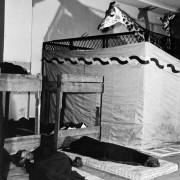 Weegee, Dans le dortoir du cirque, 1943