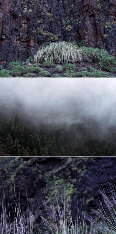 Les îles volcaniques Ibériques et la brume de janvier