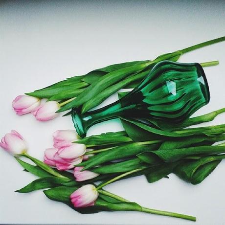 Le printemps Photos Atelier rue verte, le blog