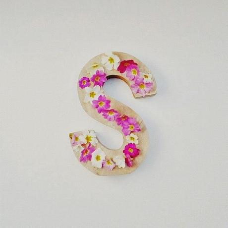 Le printemps Photos Atelier rue verte, le blog