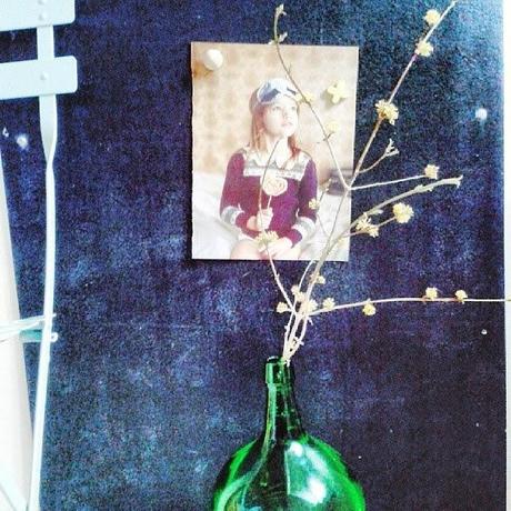 Le printemps Photos Atelier rue verte, le blog