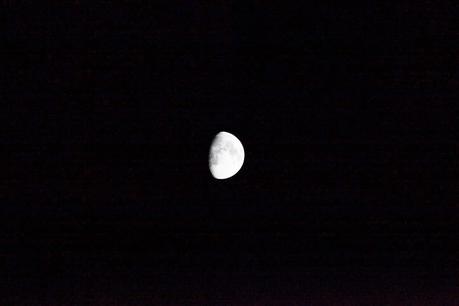 les passeuses d'humanité