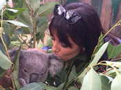 Longoria embrasse Koalas Australie