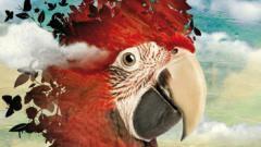 refletscineiberique_p