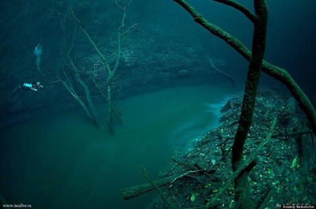 Underwater River, Cenote Angelita au Mexique