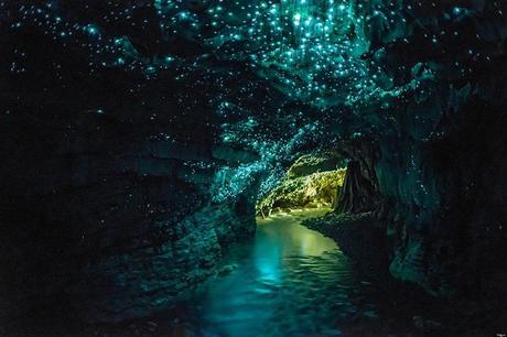 Glowworm Caves - Nouvelle Zeeland