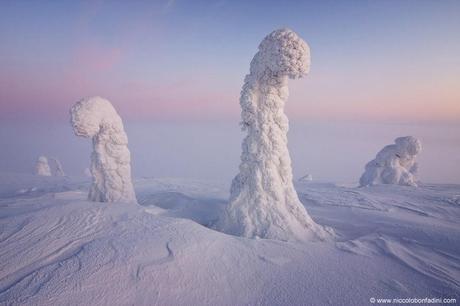 Sentinels de l'Artic - Finland