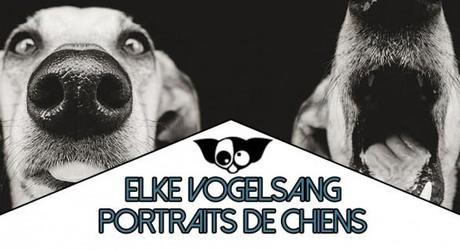 Portraits de grimaces de chiens