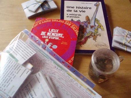 A quoi peut bien ressembler ma journée de femme à la maison ?