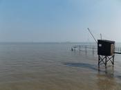 petites leçons choses