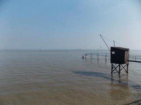 les petites leçons de choses