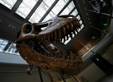 Natural History Museum of L.A. Prepares New Centerpiece For Dinosaur Hall