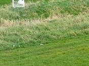 drone pour arracher dent