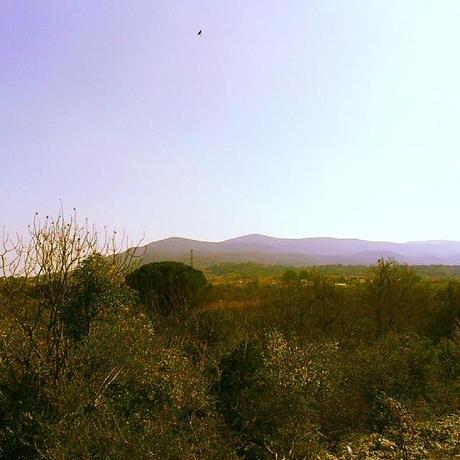 Trying hard to restore some horizon after my latest shipwreck