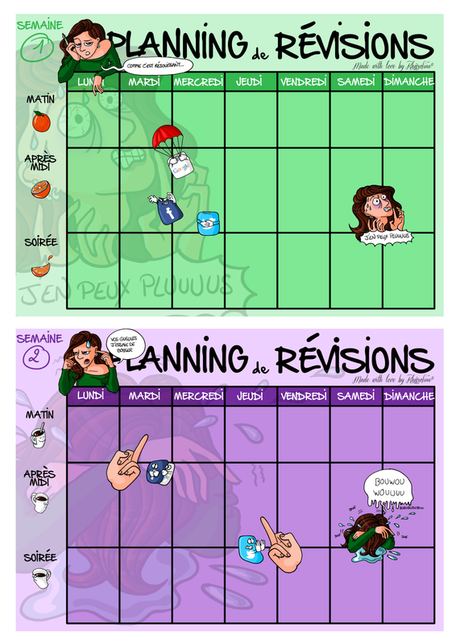 Plannings de révisions