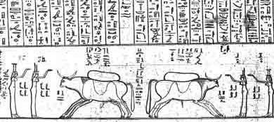 Extrait du papyrus Jumilhac (VANDIER Jacques, Le papyrus Ju