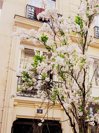 potager de la lune (4)