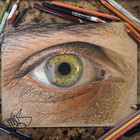 Le reflet du paysage dans l'oeil est tout simplement époustouflant!!!!!!