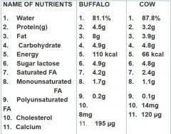 Du faux lait de vache! Inde,lait,vache,buffle,bufflonne,lait de vache,brique de lait