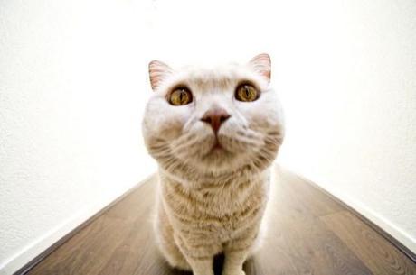 agenda, paris, concert, gaveau, pleyel, garnier