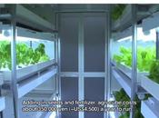 japonais lancent conquête potager ville