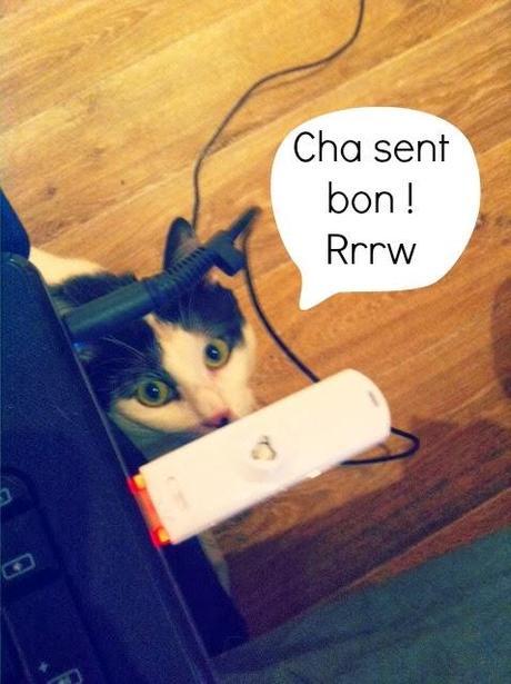 ✿.。.:* Revelessence et ses produits naturels : diffuseur clé usb, huiles essentielles, et hydrolat ✿.。.:* Revelessence et ses produits naturels : diffuseur clé usb, huiles essentielles, et hydrolat