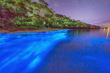 ✿.｡.:* Plages aux Maldives, le paradis !