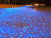 ✿.｡.:* Plages Maldives, paradis