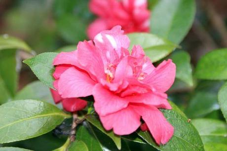 veneux 23 mars 2014 015.jpg