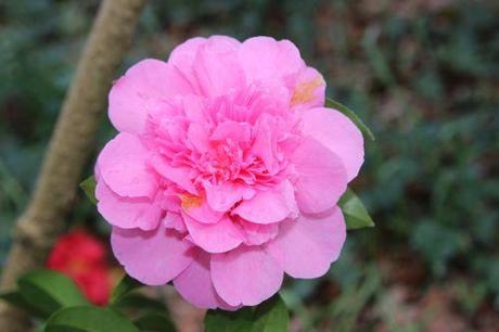 veneux 23 mars 2014 022.jpg