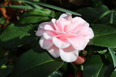 veneux 23 mars 2014 021.jpg