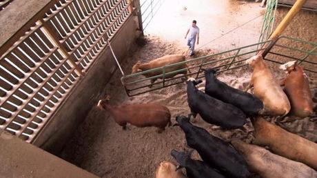 Être Nu (et éteindre)