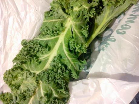 The Kale project, heuuu mais c'est quoi un chou Kale ?