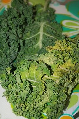 The Kale project, heuuu mais c'est quoi un chou Kale ?