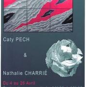 Exposition Nathalie Charrié et Caty Pech à la  Galerie 113 | Castelnaudary