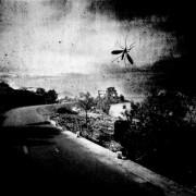 Exposition « à quoi rêvent ces montagnes ? »Gilles Roudière à l’Espace St Cyprien